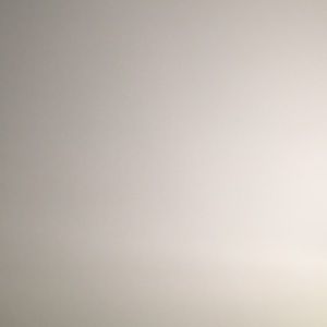 Meet your Posher, Jossie